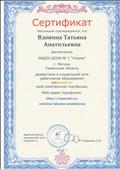 Сертификат  подтверждающий создание электронного портфолио