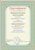 Сертификат подтверждающий создание  персонального сайта http://nsportal.ru/